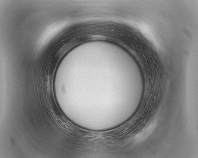 X0000116030194200911201007