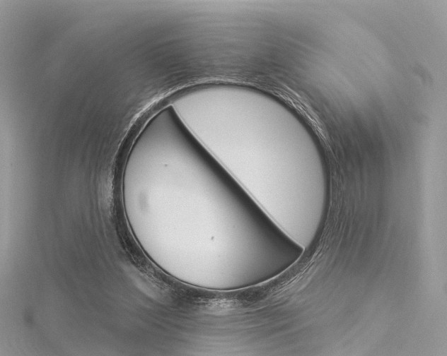 X0000116030204200911201007
