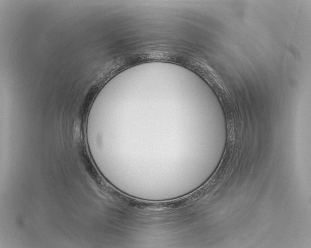 X0000116030213200911201006