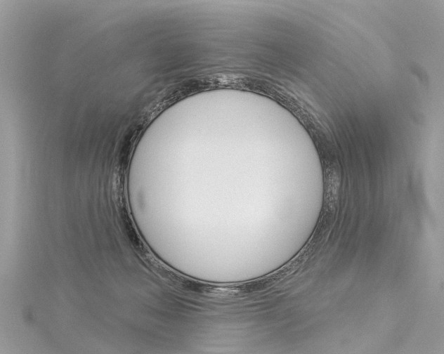 X0000116030222200911201006