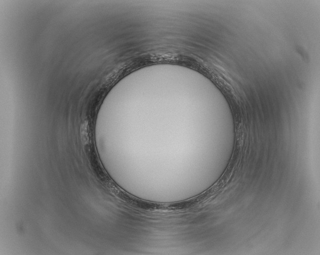 X0000116030224200911201006