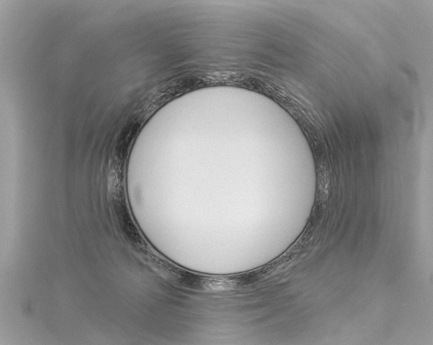 X0000116030226200911201006