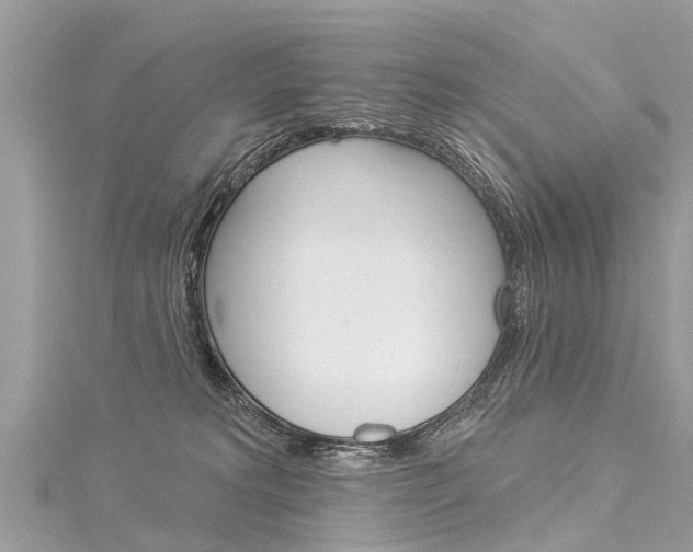 X0000116030229200911201006