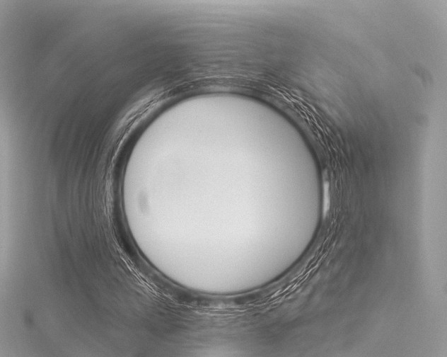 X0000116030243200911201005