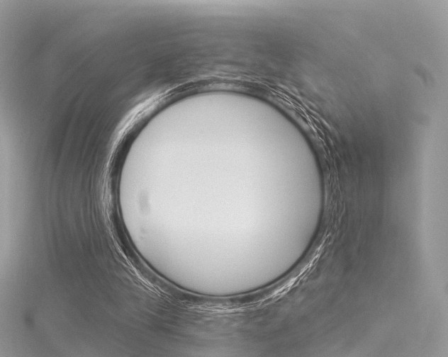 X0000116030245200911201005