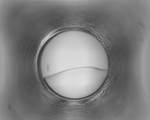 X0000116030246200911201006