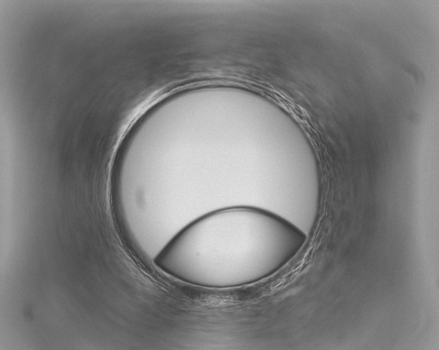 X0000116030248200911201006