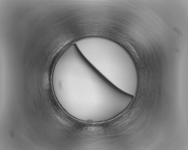 X0000116030251200911201006