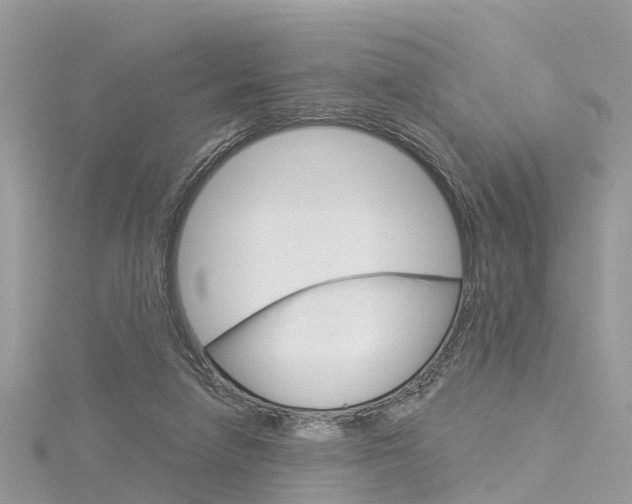 X0000116030258200911201006