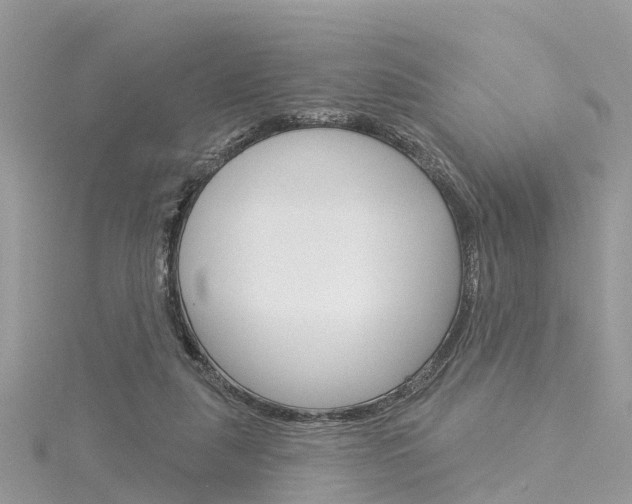 X0000116030259200911201006