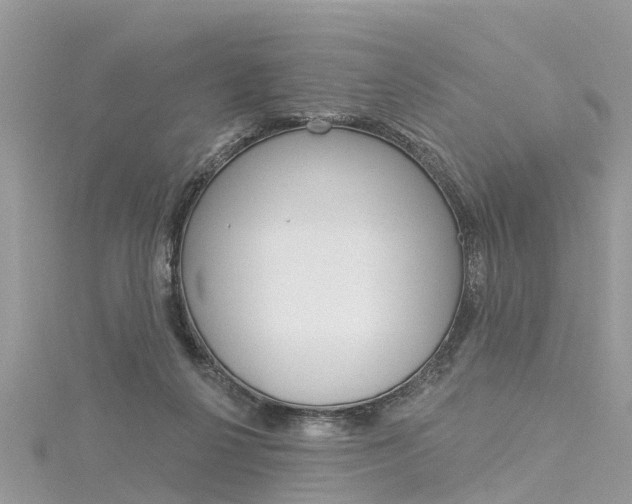 X0000116030264200911201006