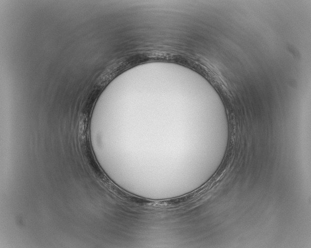 X0000116030273200911201006