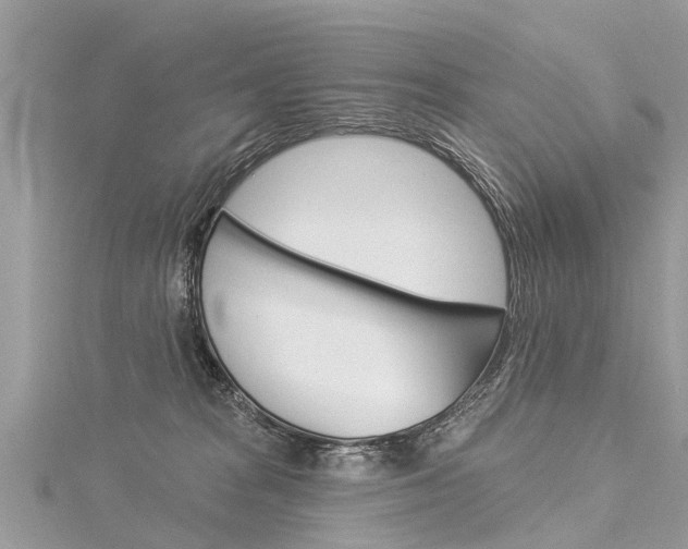 X0000116030277200911201006