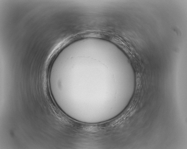 X0000116030293200911201005