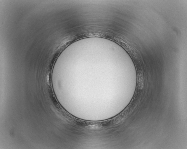 X0000116030310200911201005