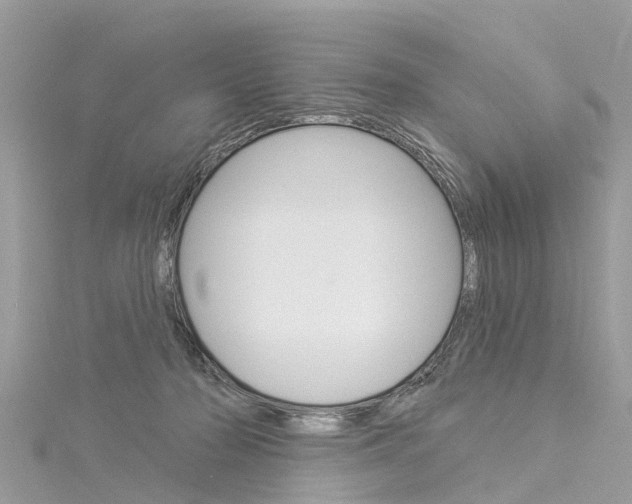 X0000116030318200911201005