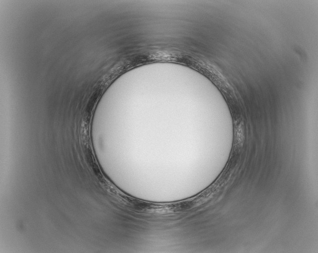 X0000116030322200911201005