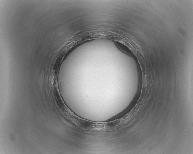 X0000116030328200911201005