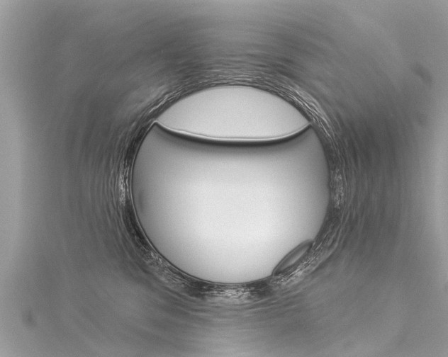 X0000116030329200911201005