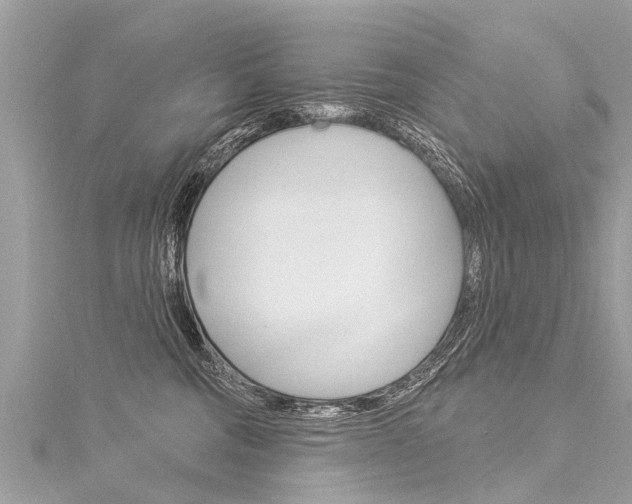 X0000116030330200911201005