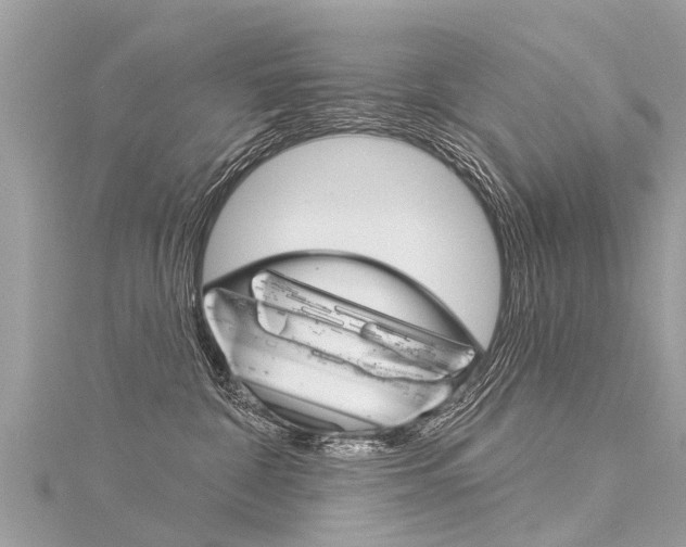 X0000116030332200911201005