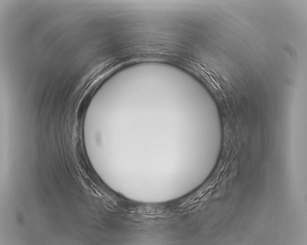 X0000116030338200911201004