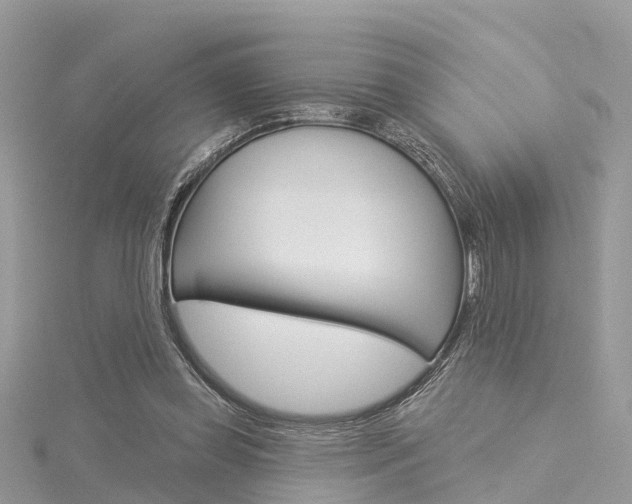 X0000116030349200911201004