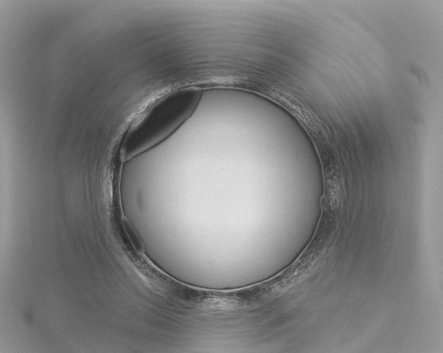 X0000116030350200911201004