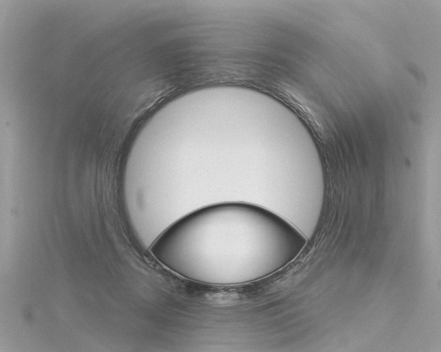 X0000116030362200911201005