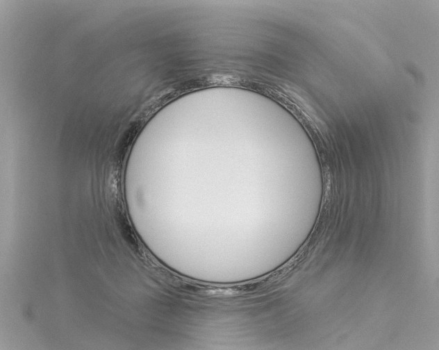 X0000116030363200911201005