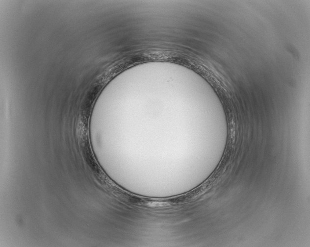 X0000116030371200911201005