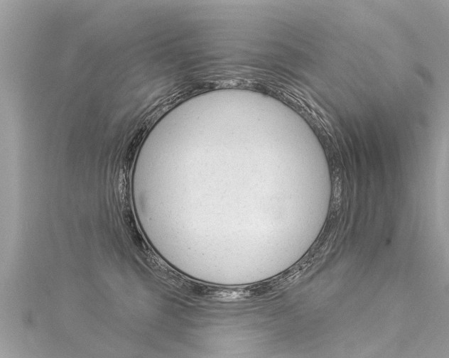 X0000116030375200911201005