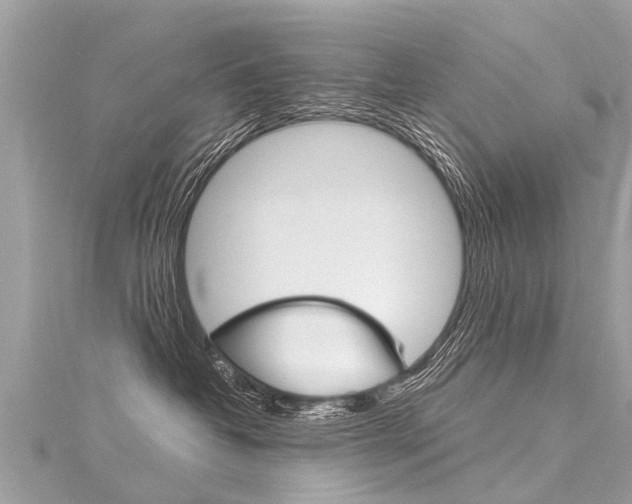 X0000116030382200911201005