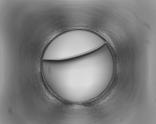 X0000116030393200911201004