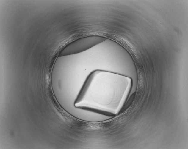 X0000116030405200911201004