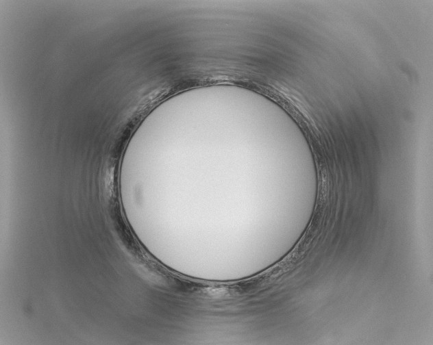 X0000116030406200911201004