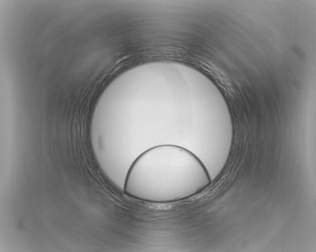 X0000116030421200911201004