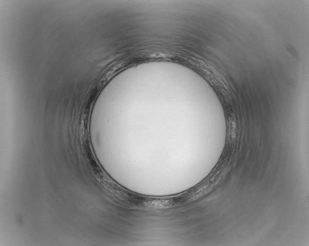 X0000116030422200911201004