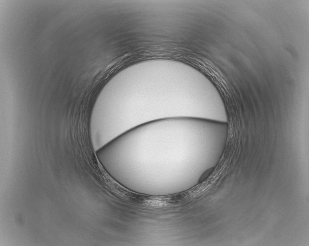 X0000116030425200911201004