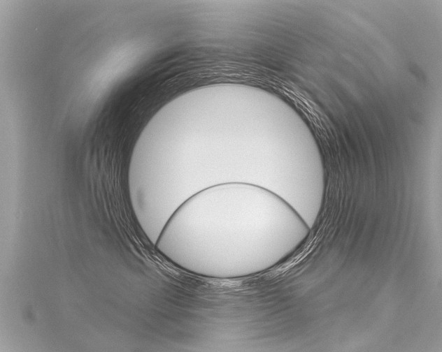 X0000116030429200911201004