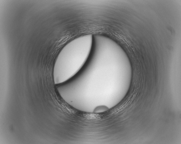 X0000116030432200911201003