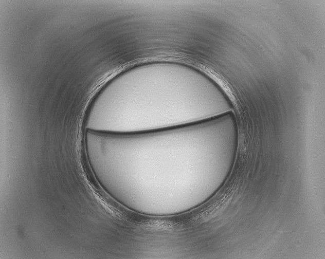 X0000116030437200911201003