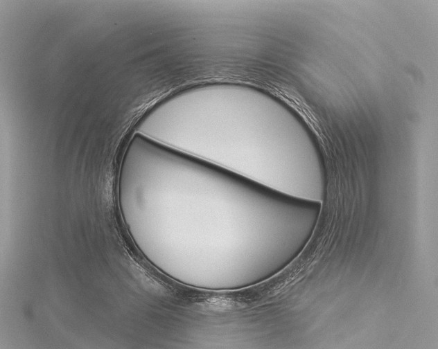 X0000116030441200911201003