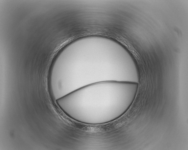 X0000116030442200911201003