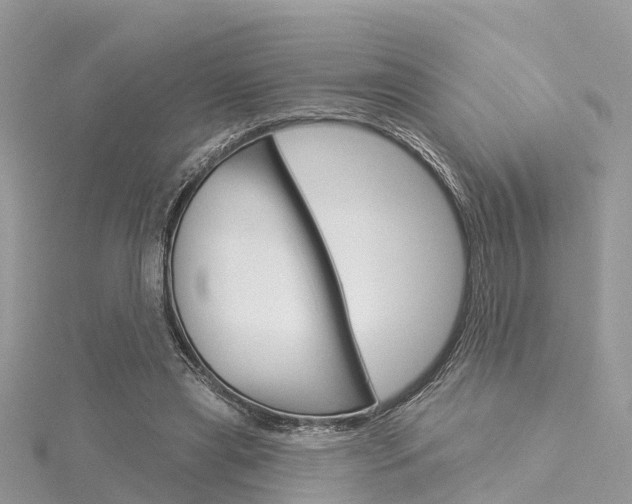 X0000116030445200911201003