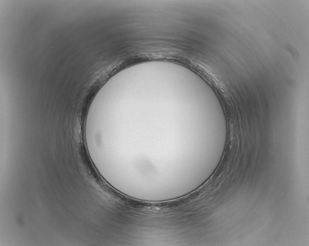 X0000116030453200911201003