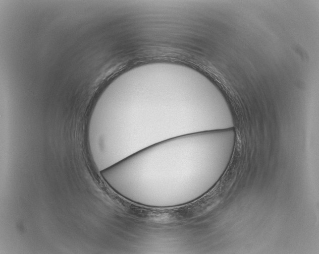 X0000116030454200911201003