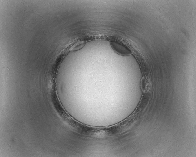 X0000116030456200911201003