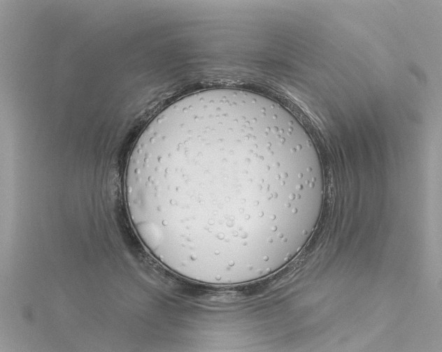 X0000116030459200911201003