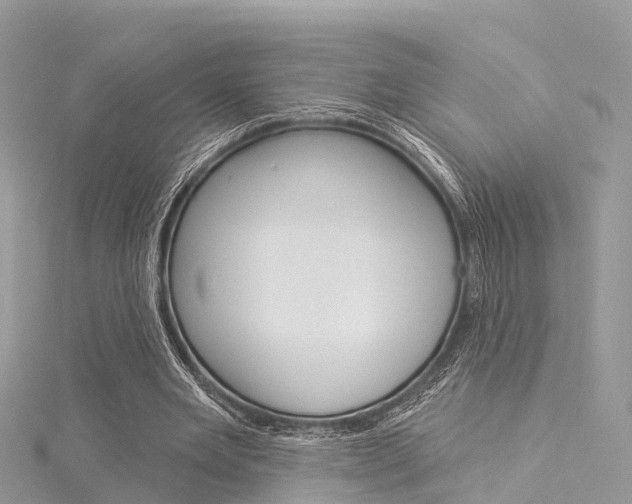 X0000116030485200911201003